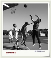篮球的魅力