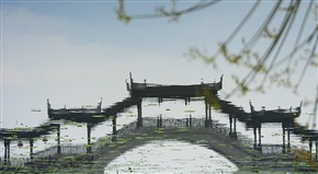 水乡韵