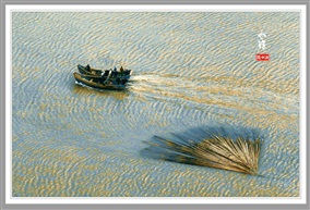 霞浦《小皓》
