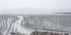 沙江S湾