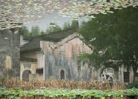 微州行