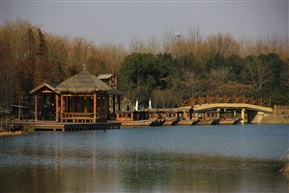 森林公园2