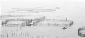 烟雨八尺门
