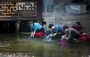水乡掠影