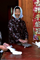 理棉条