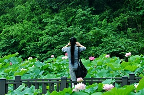 赏景拍景