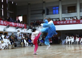 武术