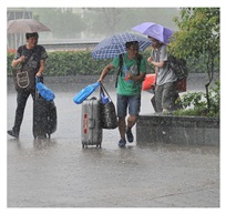 风急雨急心更急