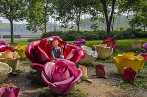 花样年华