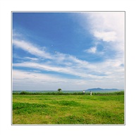 风景