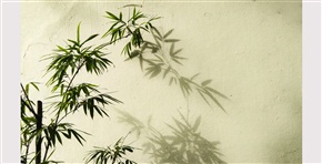 《静候风雨》