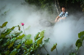 荷花池畔