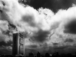 《灿鸿临近》