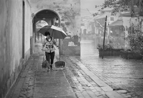 《在雨中》