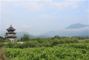 山雾一景