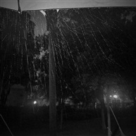 雨夜