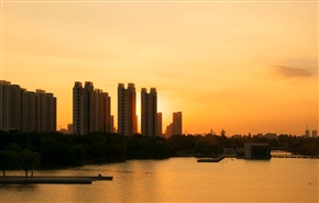 夕阳下