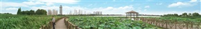 《白沙湖》