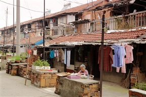 留守振苏？之二