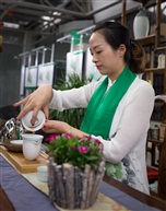 沏茶