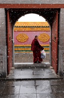 五台禅寺偶得