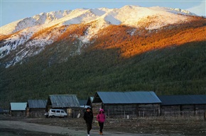 雪山下的来客