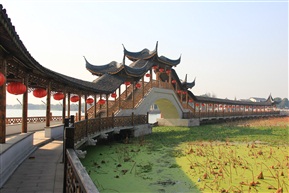 巨龙卧湖