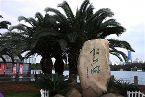 公园一景