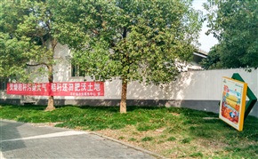 《新农村新气象》