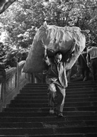 下阶梯也难