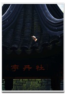 情绕牡丹亭