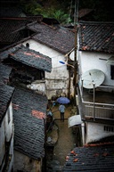 雨中行