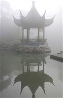 迷雾牡丹亭