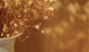 《清》