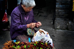 鸡毛健子