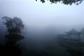亭林园晨雾