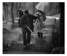 雨中清道夫