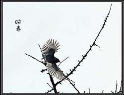 盼春