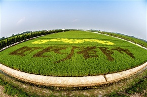 《田园都市》