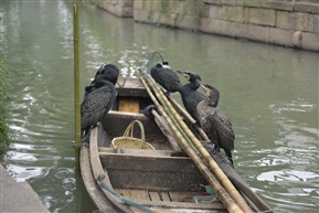 闲
