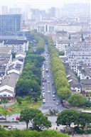 绿与霾