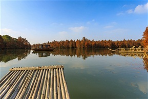尚湖风光