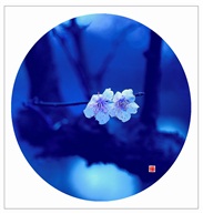 梅