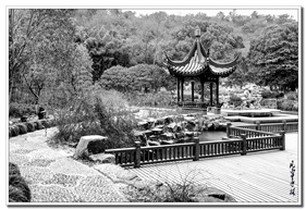 冬之韵（2）