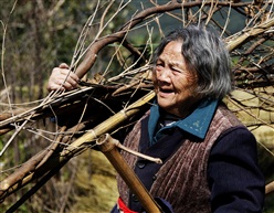 空巢老人1