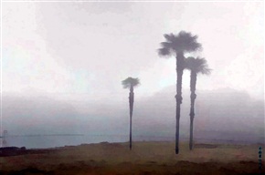 雾中景
