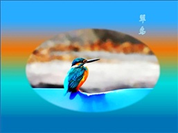 翠鸟