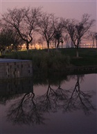 美在阻澄湖夜景