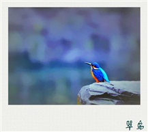 盼春