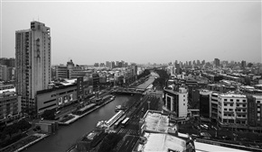 娄江雪